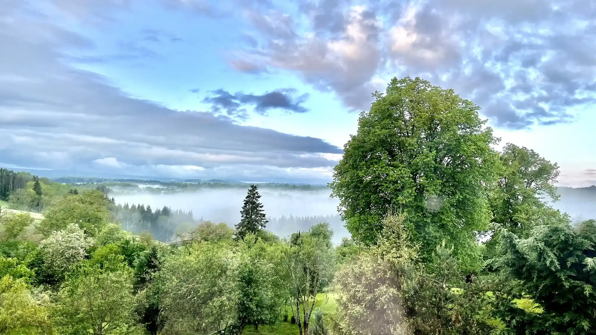 Paysage au petit matin